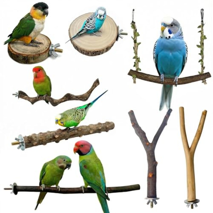 Health & Wellness Therapy Center - 8PCS tempat bertengger burung dari kayu