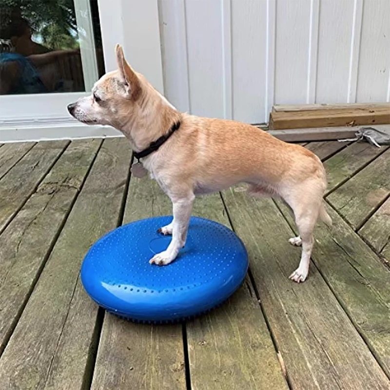 Balance Cushion Disc - Bantalan Keseimbangan Anjing, Alas Latihan Rehabilitasi,