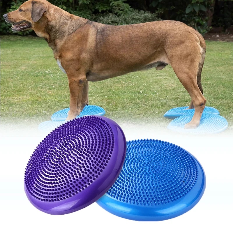 Bantalan Keseimbangan Anjing,  - Balance Cushion Disc ulasan dan harga