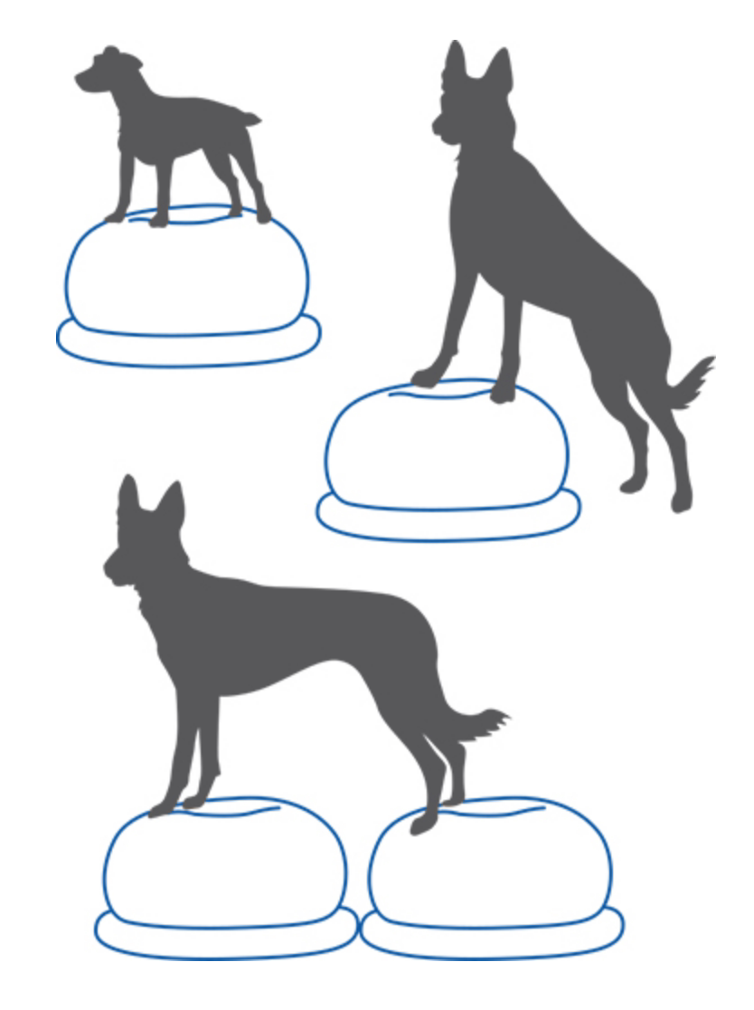 Bantal Keseimbangan Anjing, Pl - Balance Cushion Disc ulasan dan harga